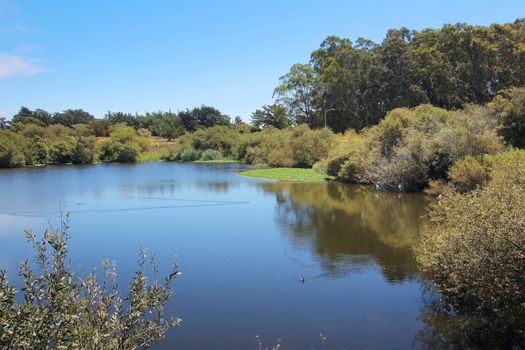 santa-cruz-westlake-5-1600w