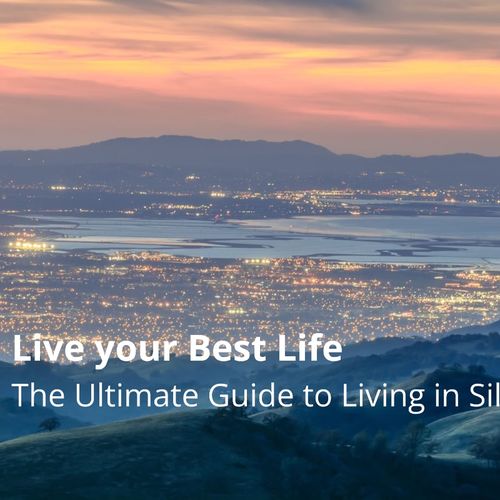 Ultimate Guide to Living in Silicon Valley