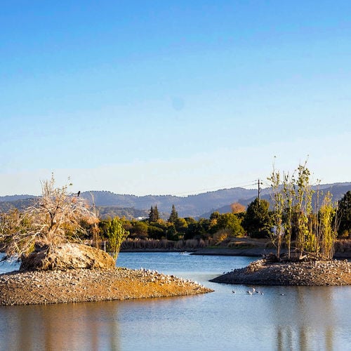 Los Gatos Creek County Park