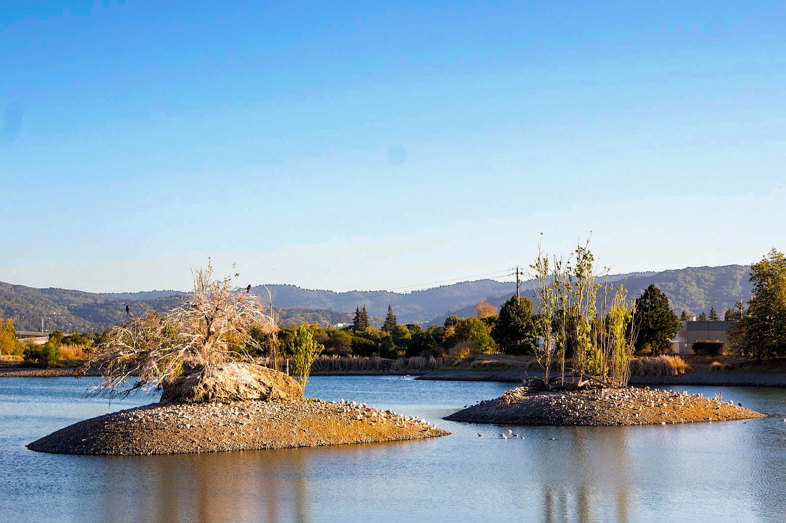 Los Gatos Creek County Park in Campbell