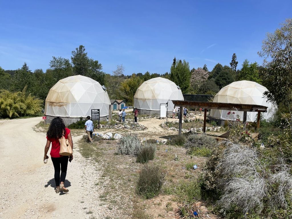 ucsc-arboretum-domes