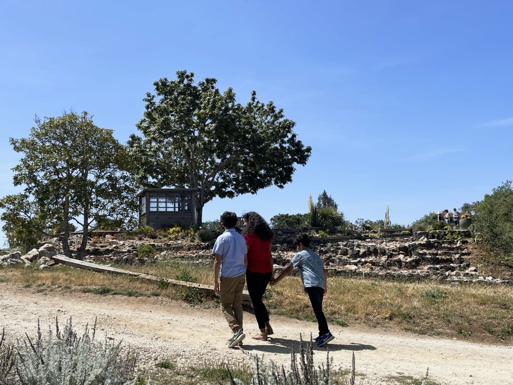 ucsc-arboretum-walking