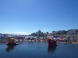 capitola-beach-begonia-festival-floats