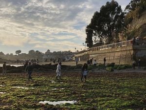 capitola-beach-low-tide