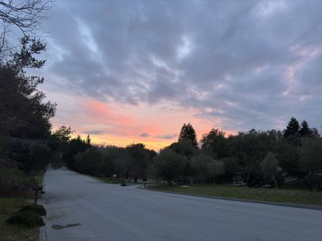 forest-and-meadows-sunset