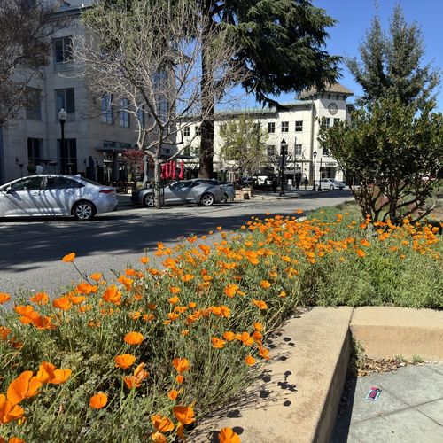 Castro Street in Mountain View: My Favorite Street in Silicon Valley