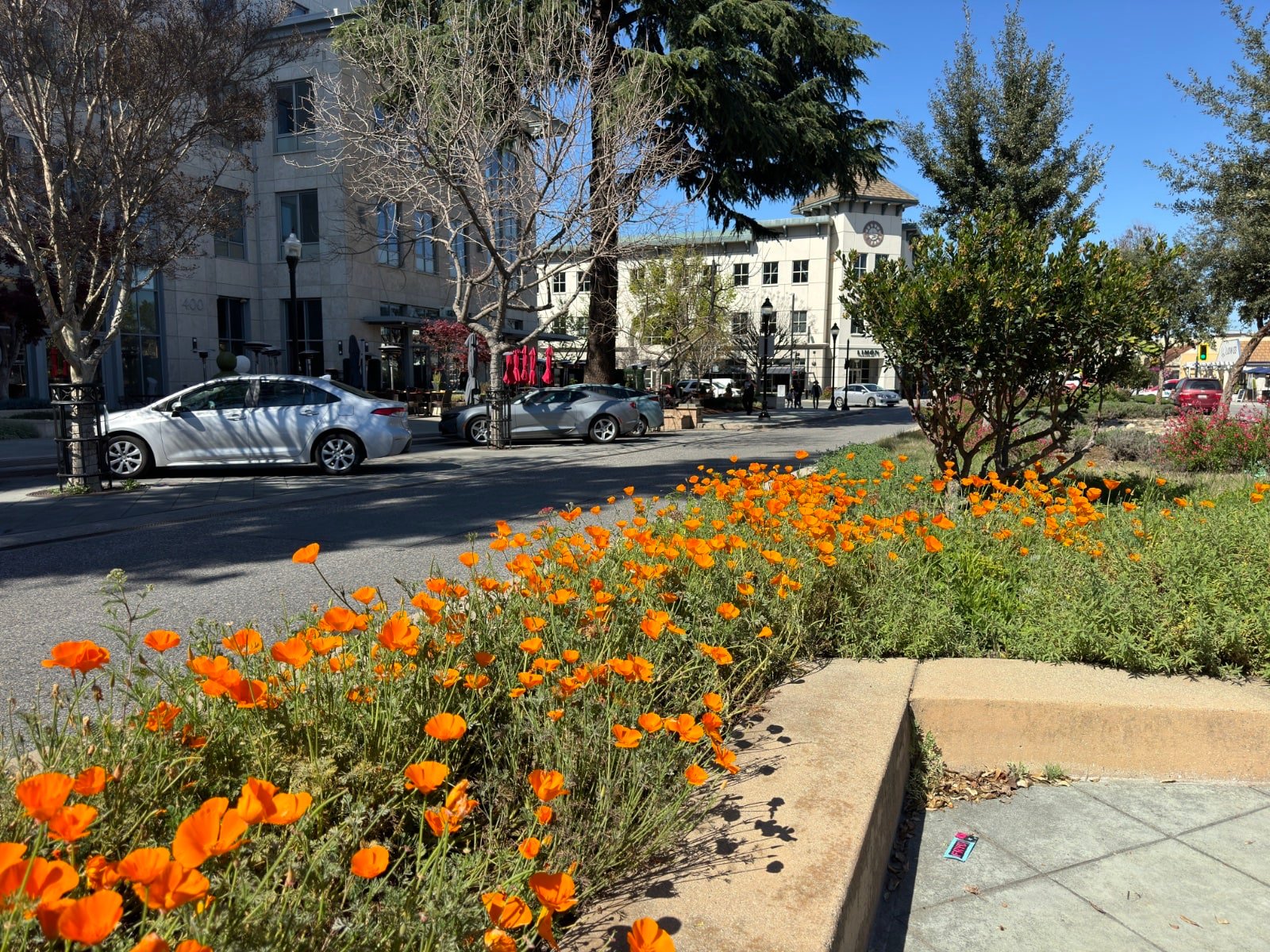 Castro Street in Mountain View: My Favorite Street in Silicon Valley ...