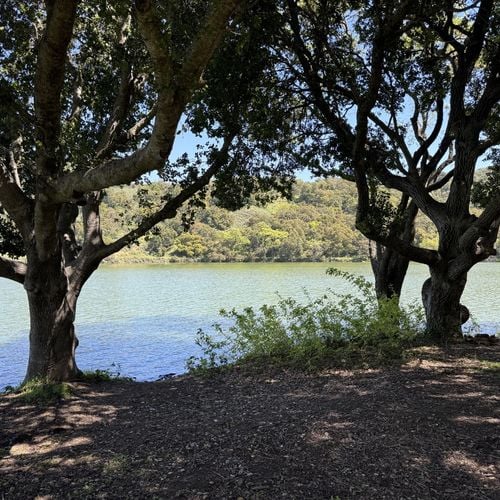 Stevens Creek County Park