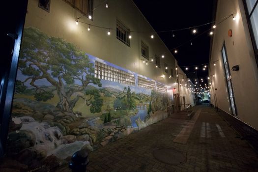 downtown-santa-cruz-alley