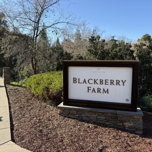 All About the Blackberry Farm in Cupertino