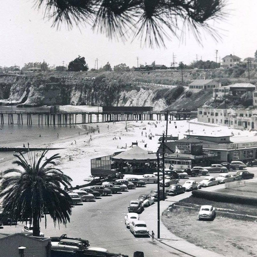 494066617_10234468011269161_5707400666127653607_n