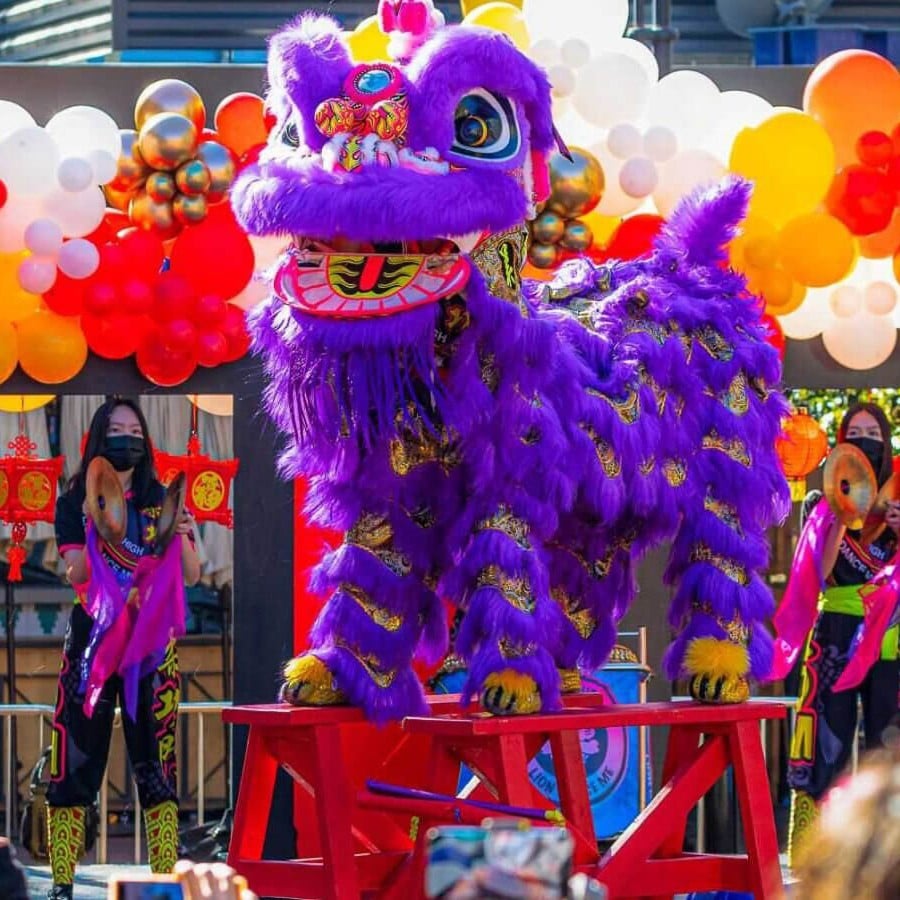 26016053_ImageLargeWidth