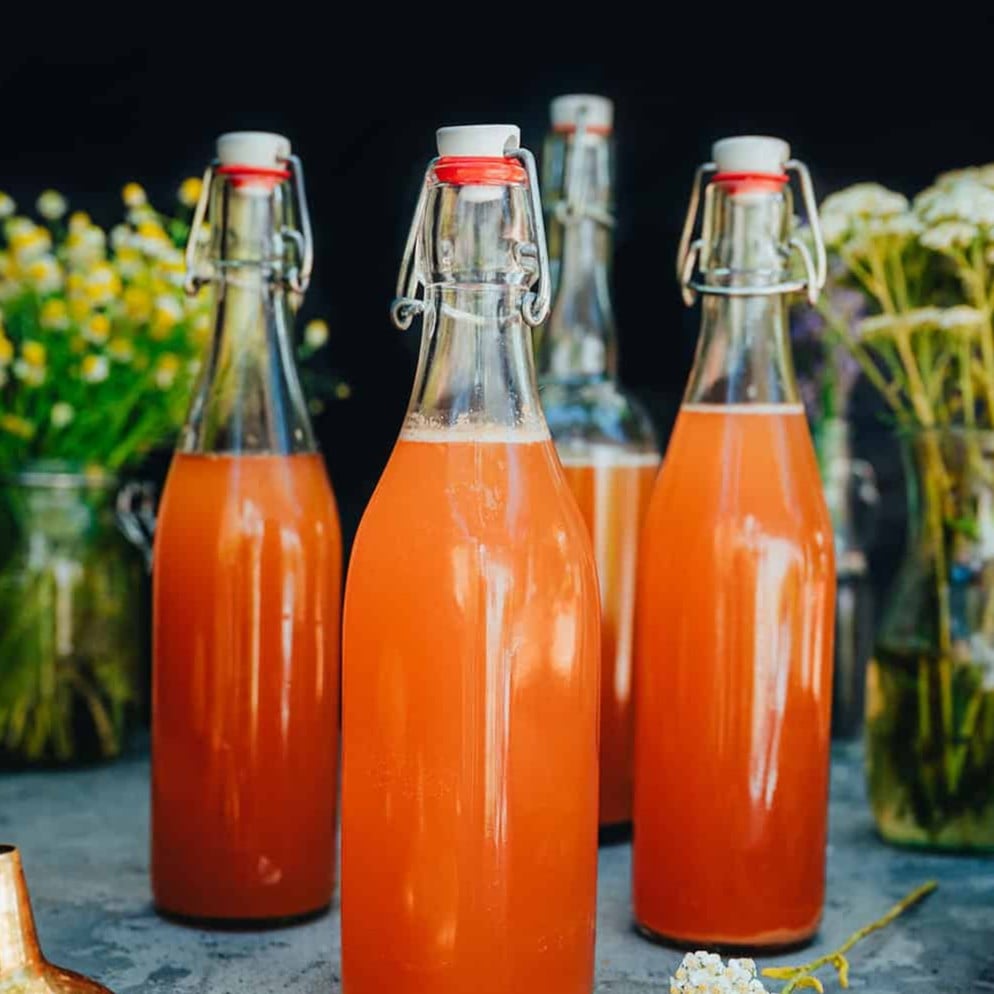 fermented-sodas-featured