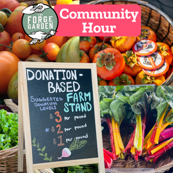 9696_LiveWhale_Farmstand