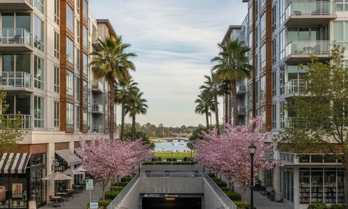 Living in Foster Square Near Sunnyvale, CA: Homes, Cost & &hellip;
