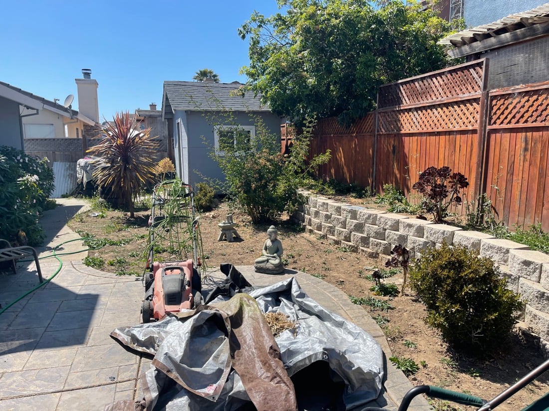 Back yard before: debris and bare dirt