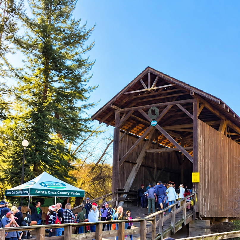 Festive Woodland Covered Bridge Market