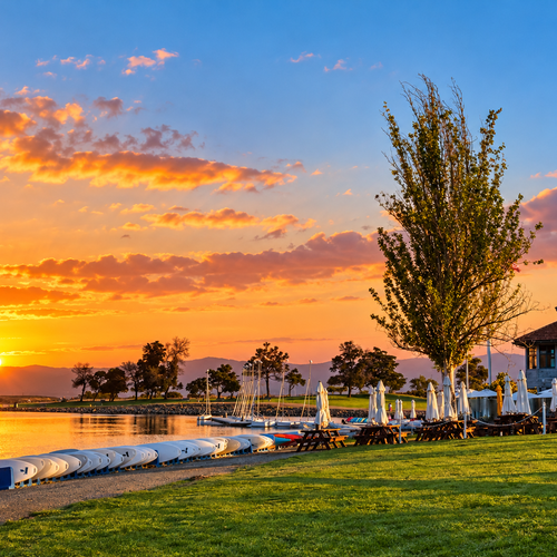 Shoreline Lake in Mountain View: A Local's Guide to Sailing, Paddling, and the Park Around It