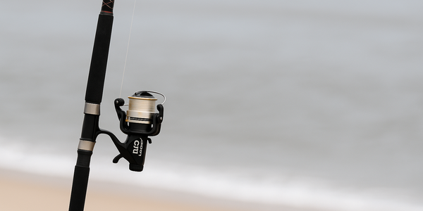 Surf Fishing in Coastal Delaware: Everything You Need …