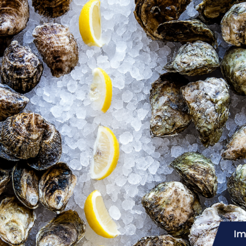 Underrated Events in Coastal Delaware Our Team Is Excited For!