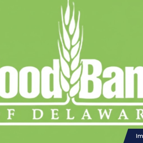 Looking to Give Back This Holiday Season? Volunteer With the Food Bank of Delaware