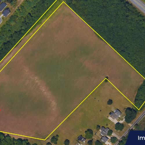 Lewes Moves Forward With Major Reforestation Plan for New Road Field