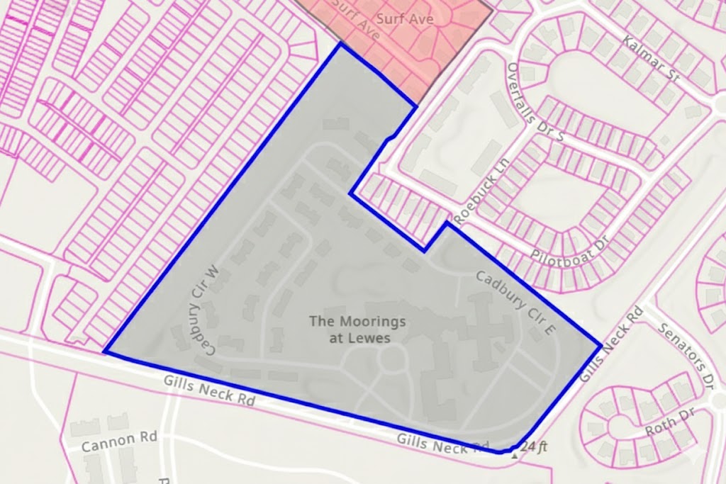 unnamed - 2026-02-19T142459.713