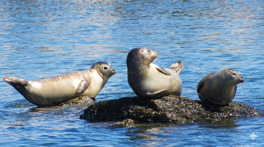 unnamed - 2026-02-26T144624.229