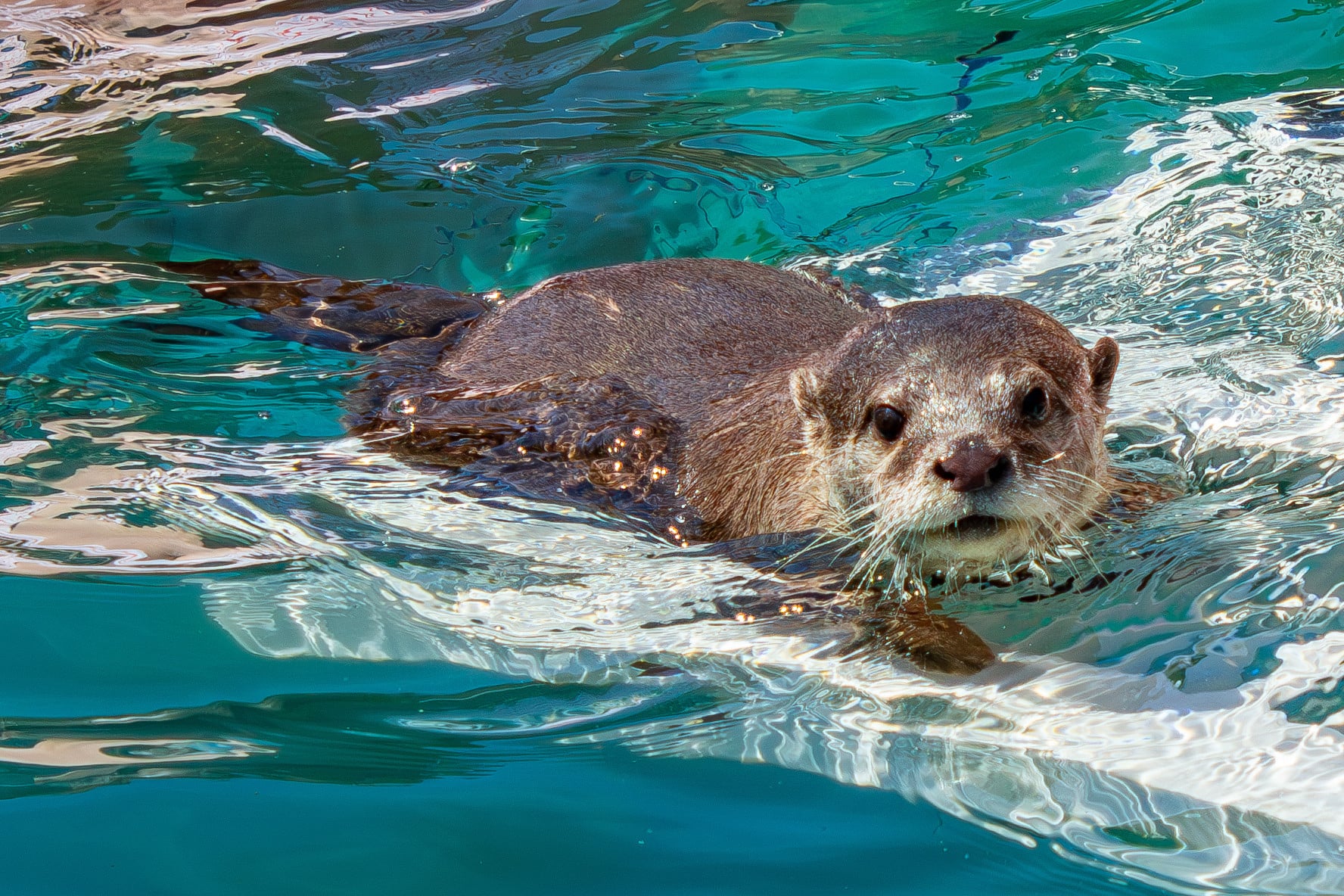 863317_6b90515a61e141fd9fb3bf68e0272bb5~mv2