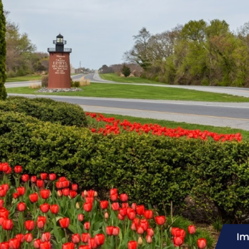 Coolest Upcoming Coastal Delaware Events: Handpicked by Our Team Pt. 3