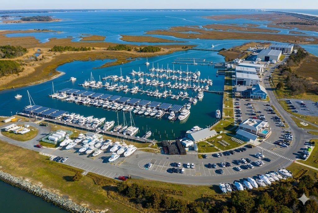 unnamed - 2026-03-02T141837.490