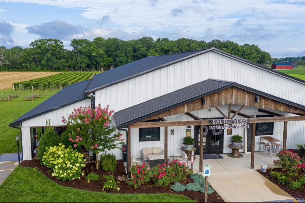 404_310-saltedvines-credit-salted-vines-vineyard-winery-credit-neil-parry-1920x1280