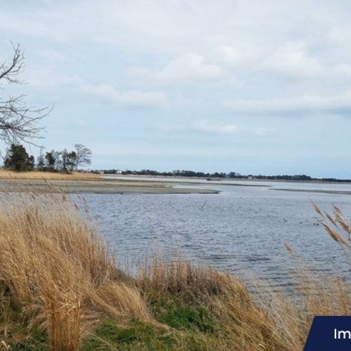 The Best Things to Do in Coastal Delaware Before the Off-Season Ends Pt. 3