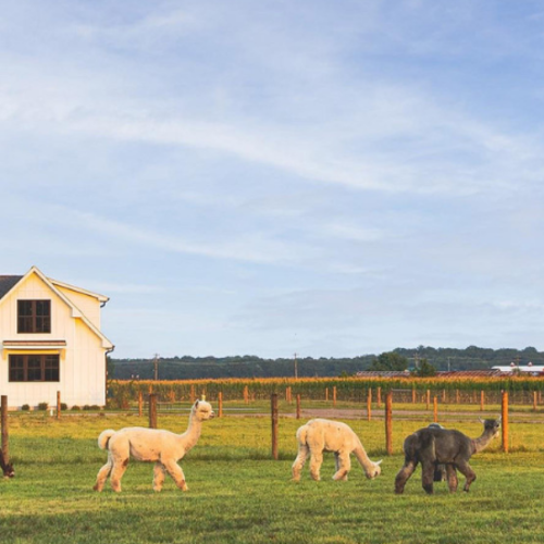 The Best Things to Do in Coastal Delaware Before the Off-Season Ends Pt. 5