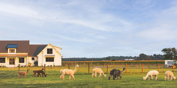 The Best Things to Do in Coastal Delaware &hellip;