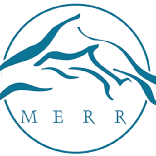 MERR Yard Sale Returns to Lewes This May With Donations Now Being Accepted