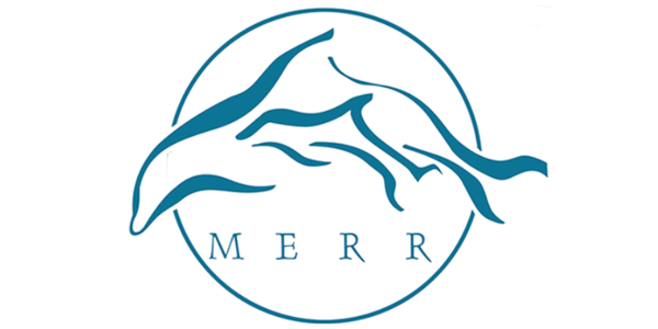 MERR Yard Sale Returns to Lewes This May &hellip;