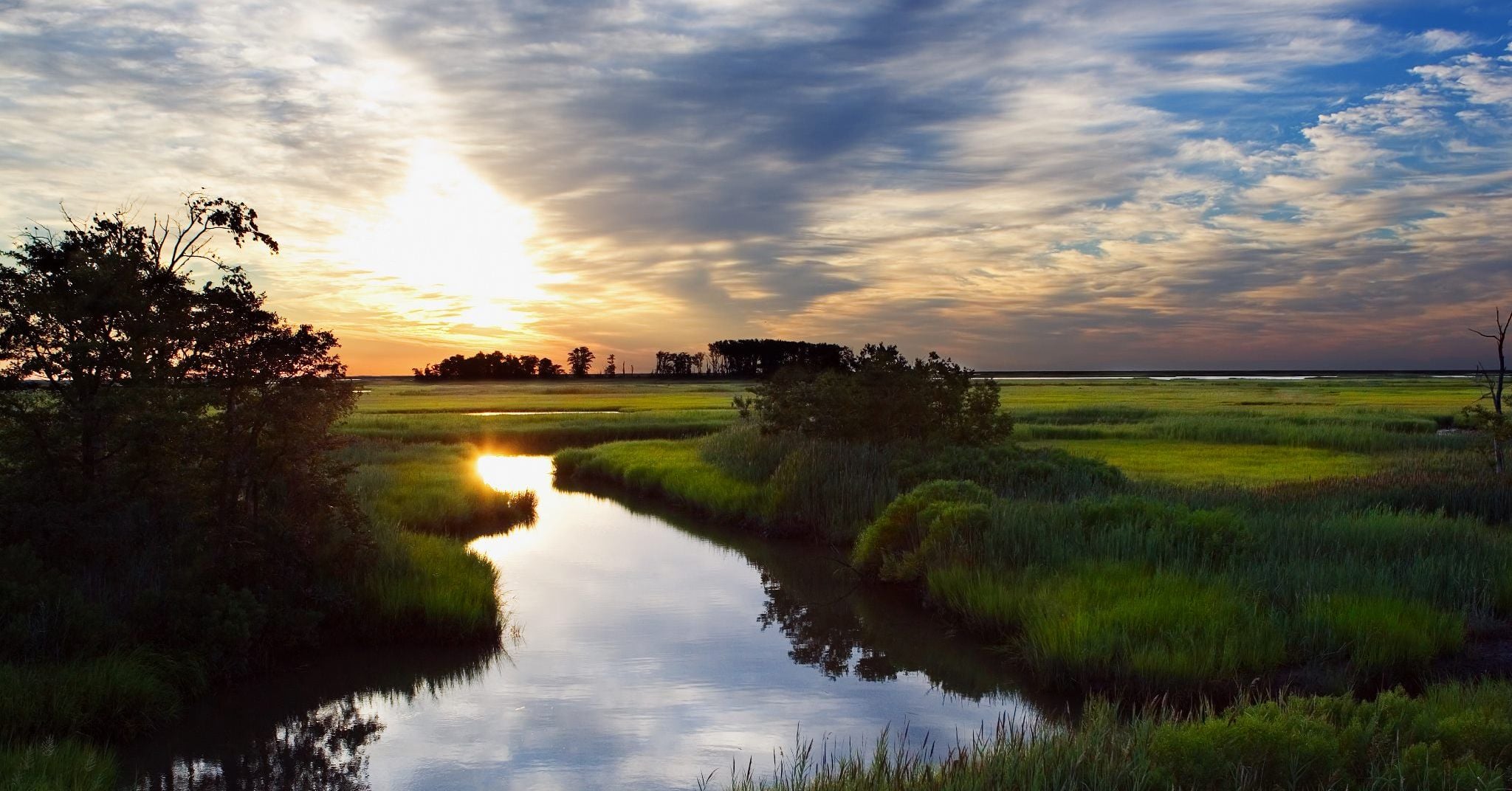 Bombay-Hook-National-Wildlife-Refuge_3038C566-B7DB-30D9-7EE87A55EEF67CC3-3038c298c244259_3038e96a-f35b-3d6b-c75d69ee03cee0b8