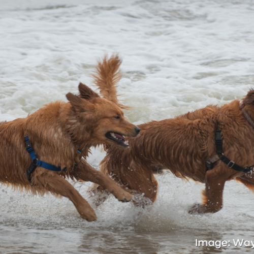May 8th–10th: What’s Happening This Weekend in Coastal Delaware