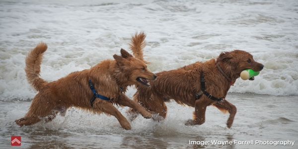 May 8th–10th: What’s Happening This Weekend in Coastal &hellip;