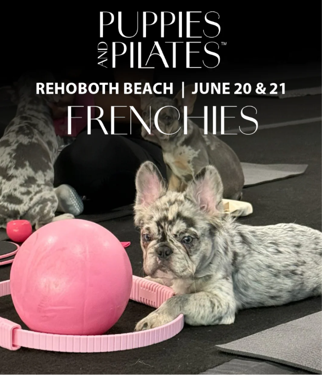 Puppies and Pilates 3