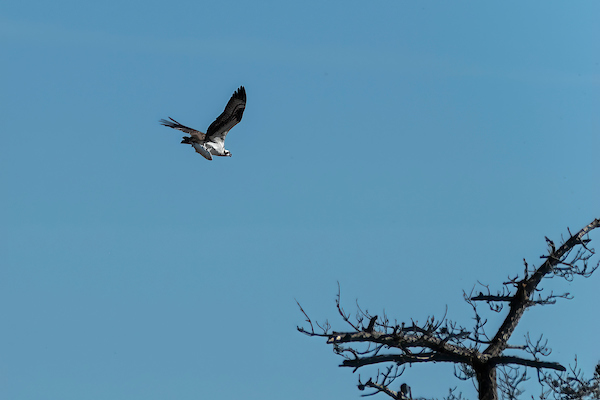 Delaware State Parks