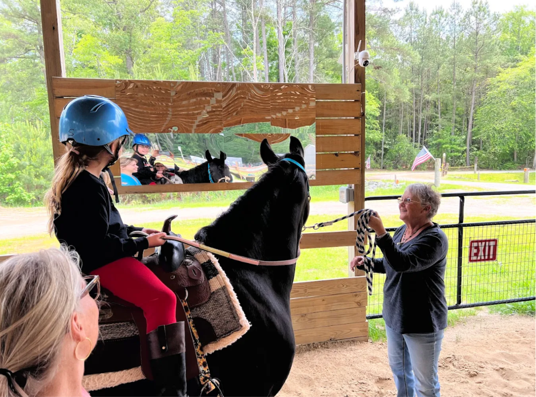 Sonshine Equine 3