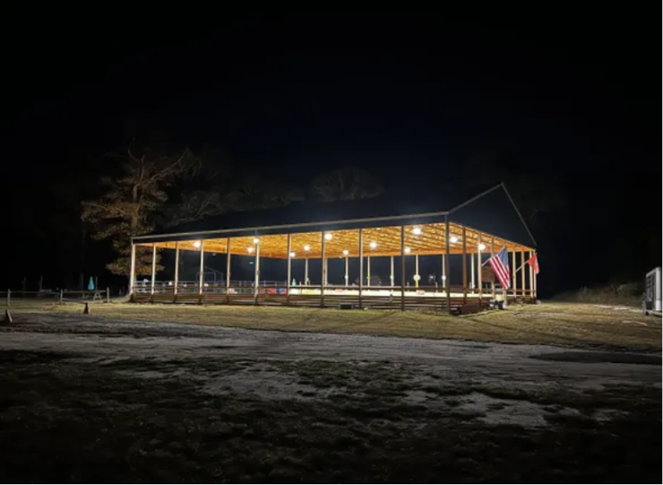 Sonshine Equine 5