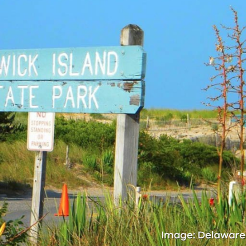 Coastal Delaware Starter Packs: Some Iconic Things To Do In Every Beach Town