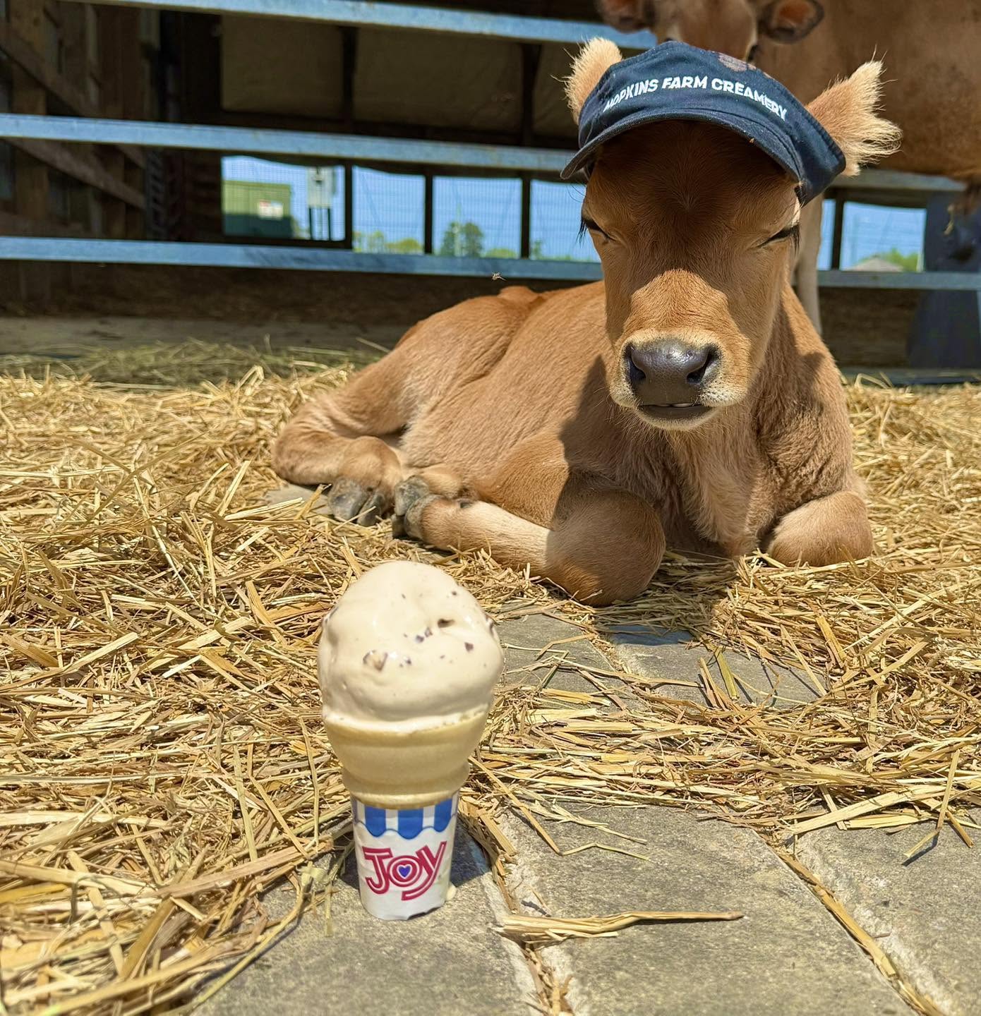 Hopkins Farm 1