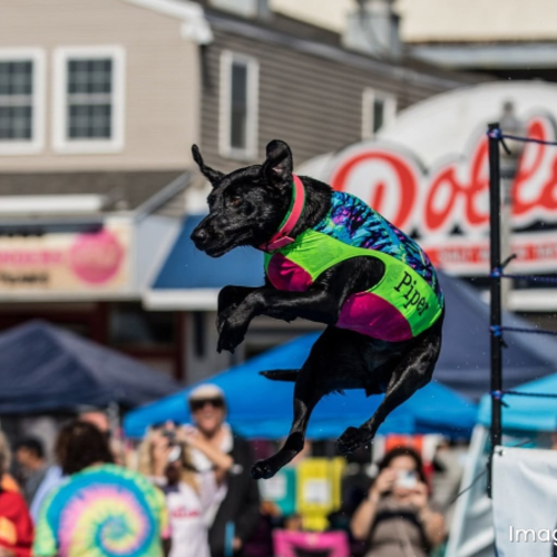 October 16th-18th: Your Weekend Guide in Coastal Delaware