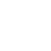 Arizona Homes Team - Circle Logo