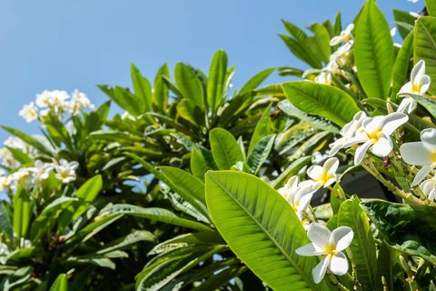 5617 Ashworth Street Photos (3)