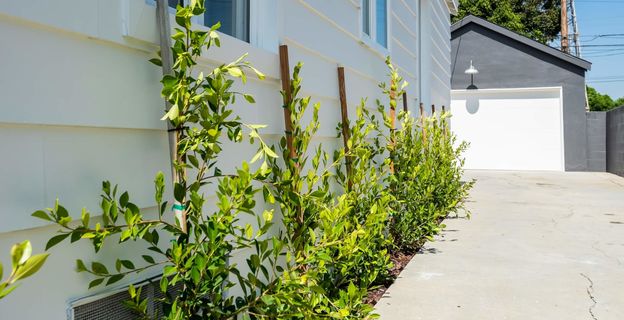 5617 Ashworth Street Photos (7)